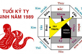 Tuổi Kỷ Tỵ hợp hướng nào? Bật mí sinh năm 1989 hợp hương nào?