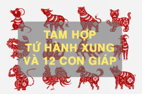 Tính tuổi tam hợp tứ hành xung cho 12 con giáp chuẩn nhất