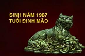 Tuổi Đinh Mão hợp hướng nào? Sinh năm 1987 chọn hướng nào để Phát Tài