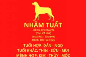 Tuổi Nhâm Tuất hợp hướng nào? Phong thủy nhà ở tuổi 1982 cực quan trọng