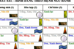 Mệnh mộc hợp màu gì? Tổng hợp kiến thức phong thủy luôn đúng