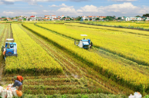 Cần Thơ thu hồi đất 17 dự án trong năm 2021