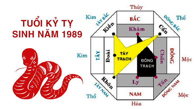 tuoi-ky-ty-hop-huong-nao-bat-mi-sinh-nam-1989-hop-huong-nao-1