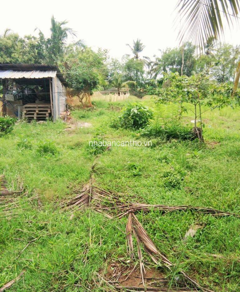 Đất 6x68 hẻm ô tô KV Bình Khánh Phước Thới Ô Môn