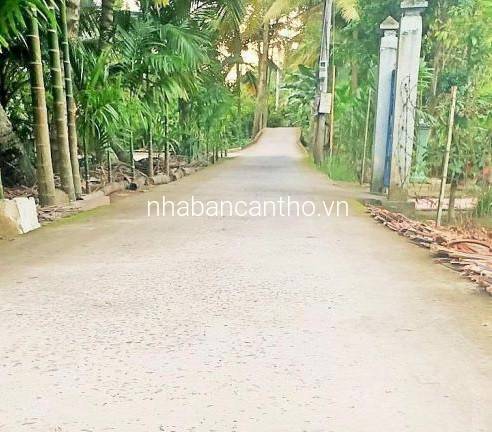 Đất 10x28 thổ cư hẻm 3m cách lộ 91 chỉ 300m