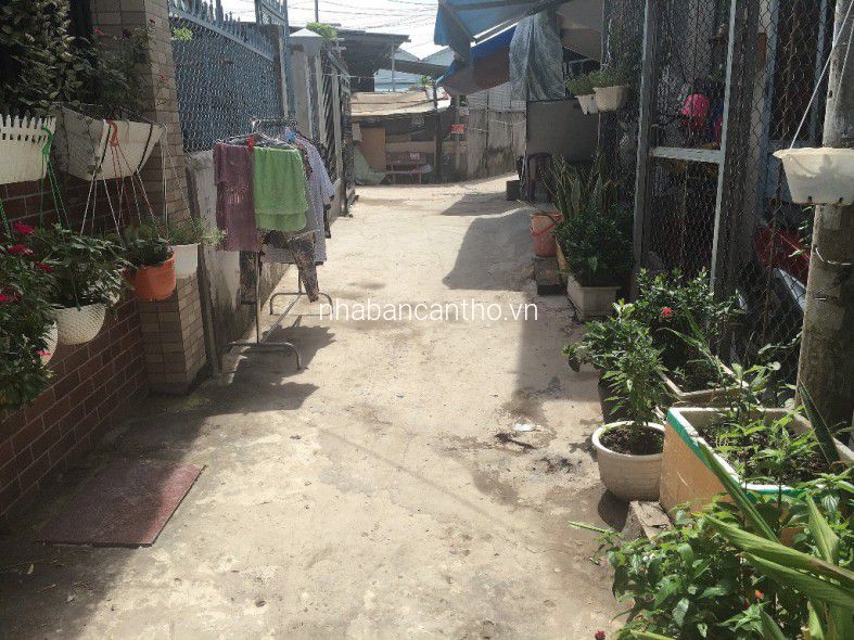 Nền thổ cư tặng nhà c4 khu vực trung tâm, hẻm đường Đoàn Thị Điểm, Q. Ninh Kiều, Cần Thơ