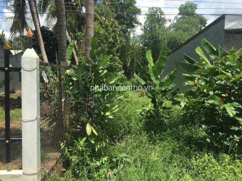 Nền 200m2 mặt tiền rạch Bà Vèn đường Huỳnh Thị Nỡ, P. Thường Thạnh, Cái Răng, Cần Thơ