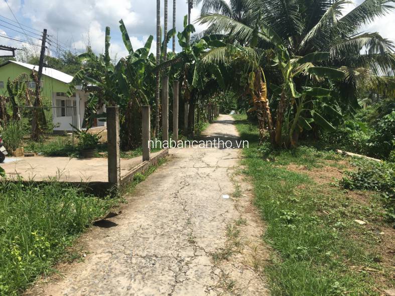 Nền 200m2 mặt tiền rạch Bà Vèn đường Huỳnh Thị Nỡ, P. Thường Thạnh, Cái Răng, Cần Thơ