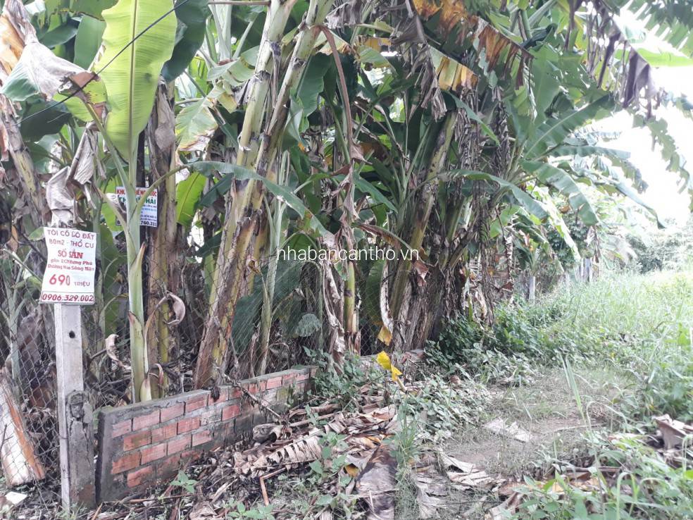 Nền mặt tiền đường Tạ Thị Phi, P. Long Tuyền, Bình Thủy, Cần Thơ