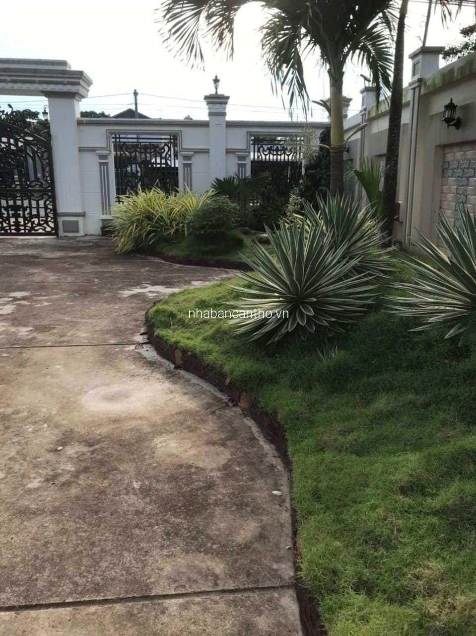 BIỆT THỰ 1000M2 MẶT TIỀN QL91 - 7tỷ5 - LH 0931.0000.94 GẶP BÌNH