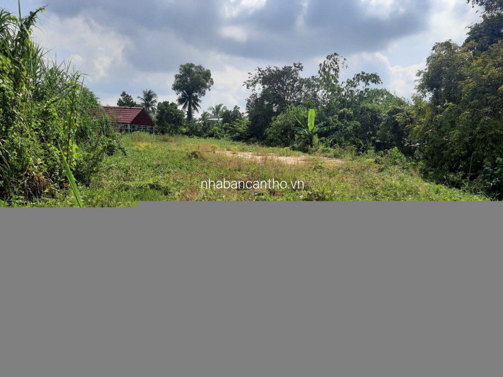 NỀN MẶT TIỀN QL91 CHƯA ĐẾN 4tr/m2 THỐT NỐT-CẦN THƠ