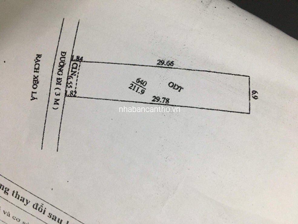 NỀN GIÁ RẺ RẠCH XẺO LÁ