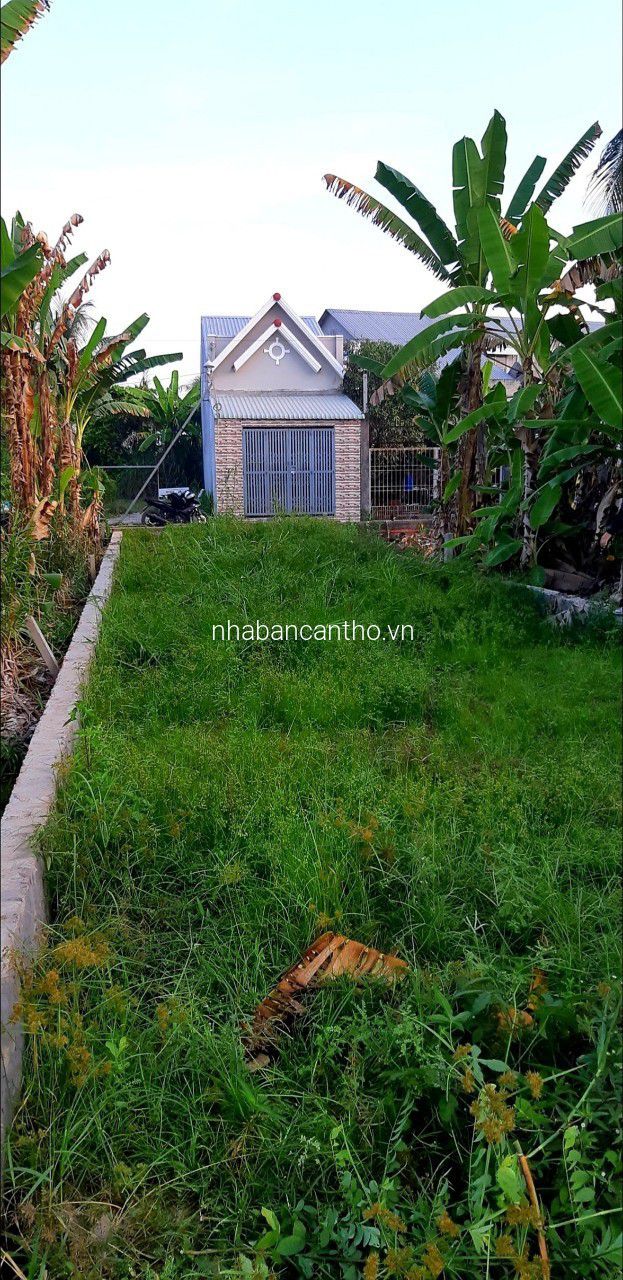 NỀN THỔ CƯ GẦN LỘ 40M