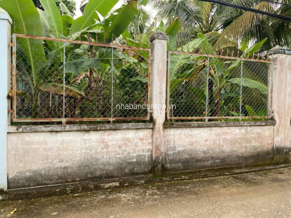 BÁN NỀN GIÁ RẺ HẺM 6 BÙI HỮU NGHĨA, BÌNH THỦY