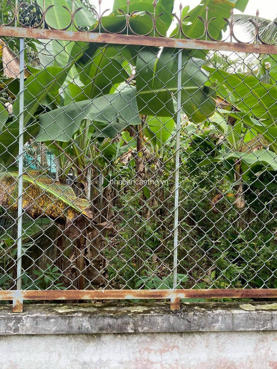 BÁN NỀN GIÁ RẺ HẺM 6 BÙI HỮU NGHĨA, BÌNH THỦY