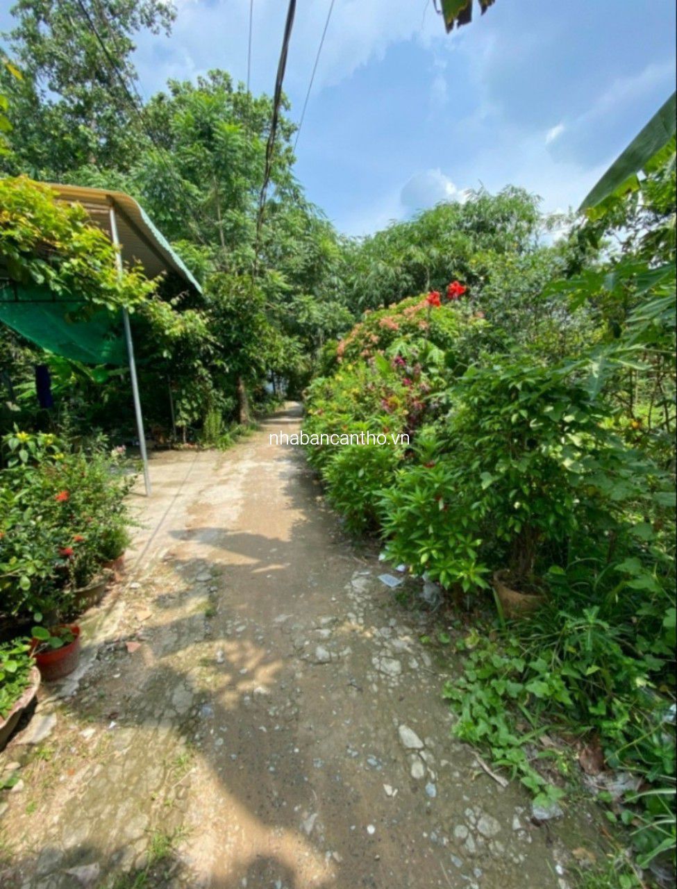 Nền thổ cư cách đường Bùi Hữu Nghĩa 80m giá 500 triệu