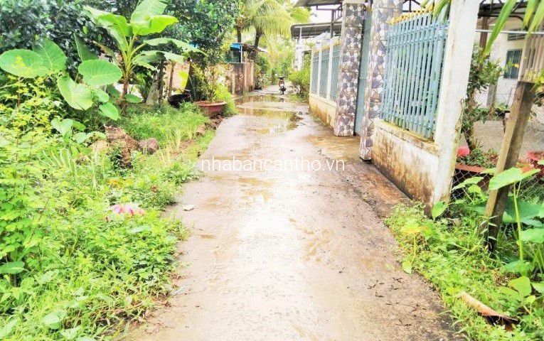 Đất thổ cư 13.7x25 Lộ 2m gần chợ Cầu Nhím Phong Điền