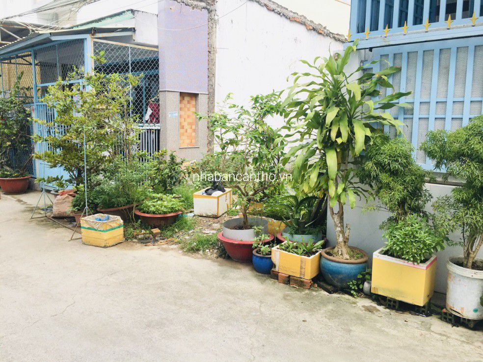 Nền đẹp, hẻm xe hơi, cách Hồ Bún Xáng 100m, P. An Khánh, Ninh Kiều, Cần Thơ