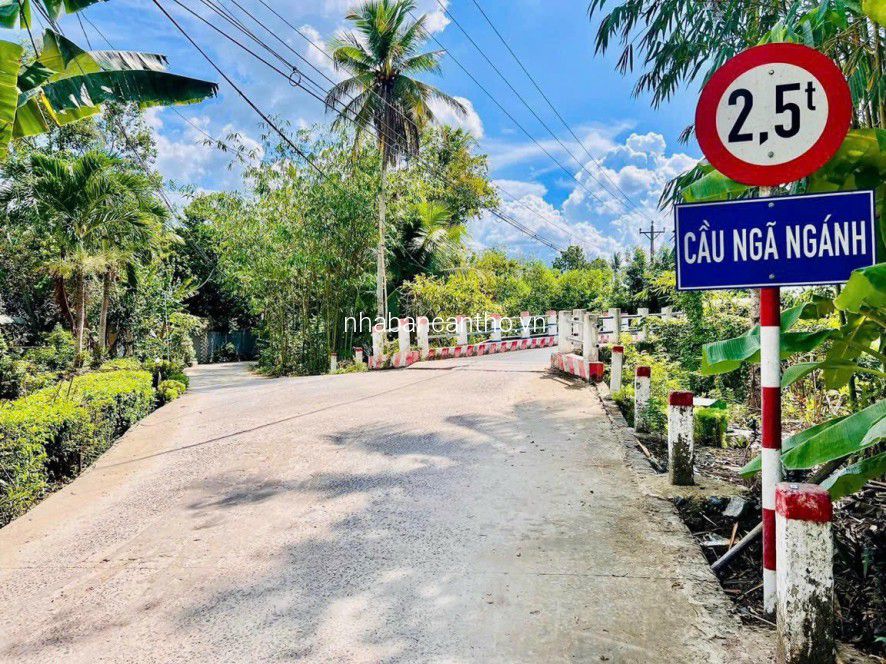 CHỈ CẦN 200TR CÓ NGAY NỀN 4X11M THỔ CƯ TẠI P.LONG TUYỀN, Q.BÌNH THỦY, TP.CẦN THƠ.