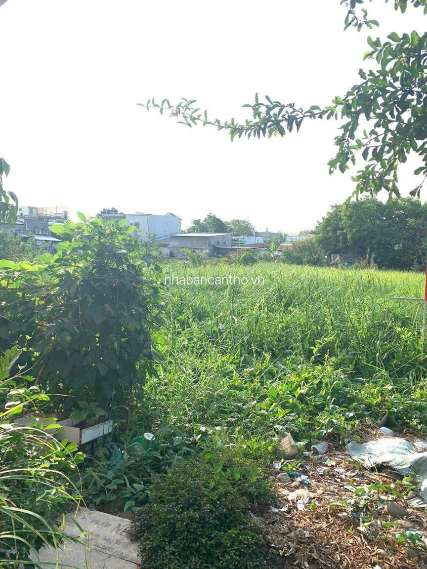 BÁN 1600M2 ĐẤT KDC 3A, P.AN BÌNH, Q.NINH KIỀU, TPCT.