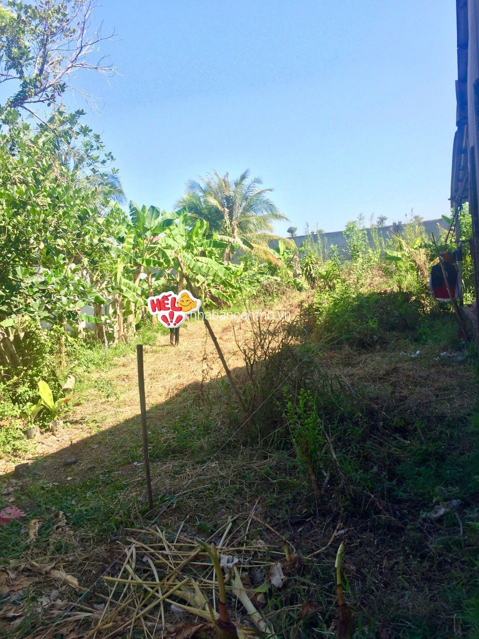 Nền thổ cư cách QL61C 100m, cách cầu Ba Láng 2.5km, Xã Nhơn Nghĩa, Phong Điền, Cần Thơ