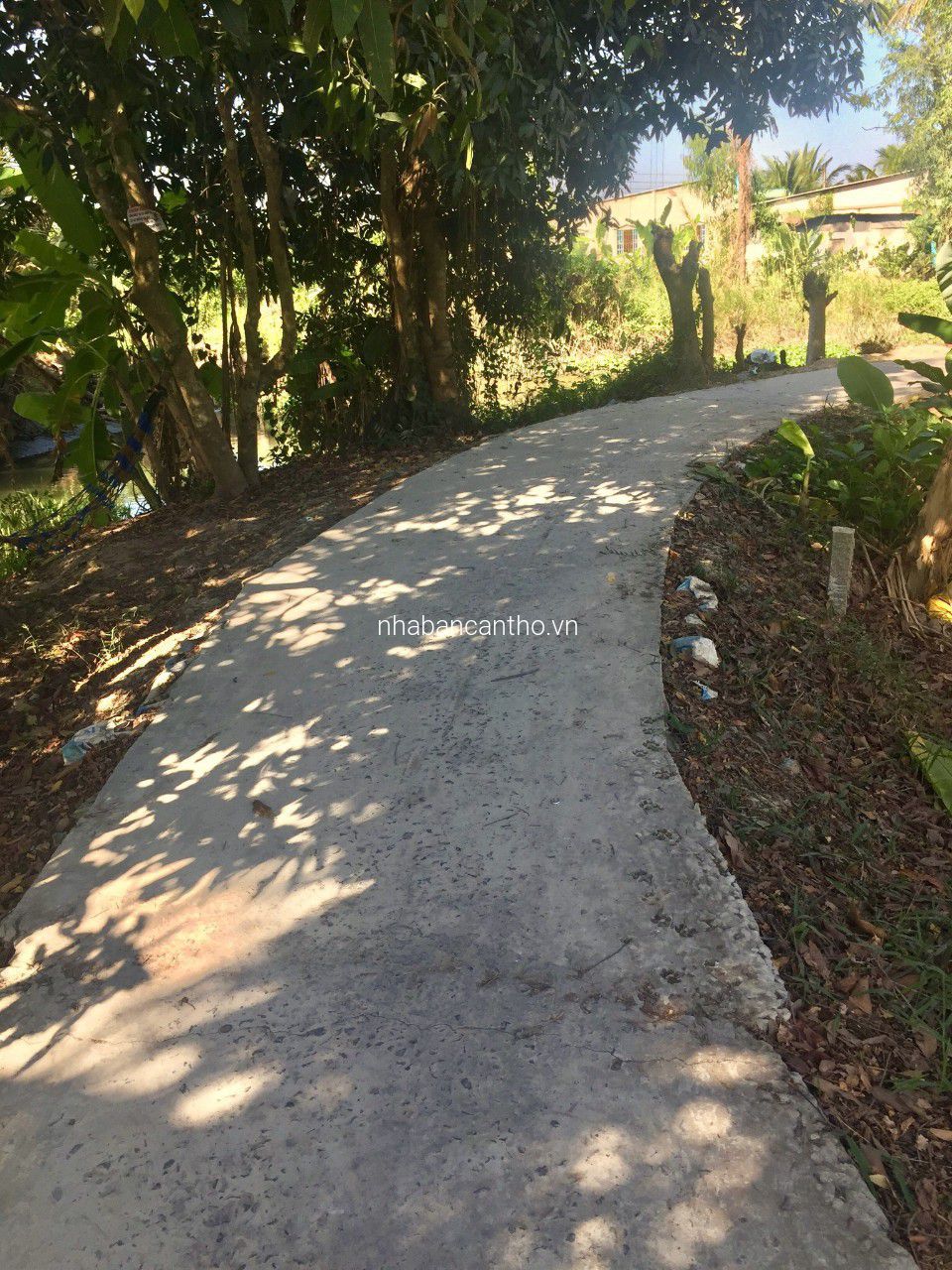 Nền thổ cư cách QL61C 100m, cách cầu Ba Láng 2.5km, Xã Nhơn Nghĩa, Phong Điền, Cần Thơ