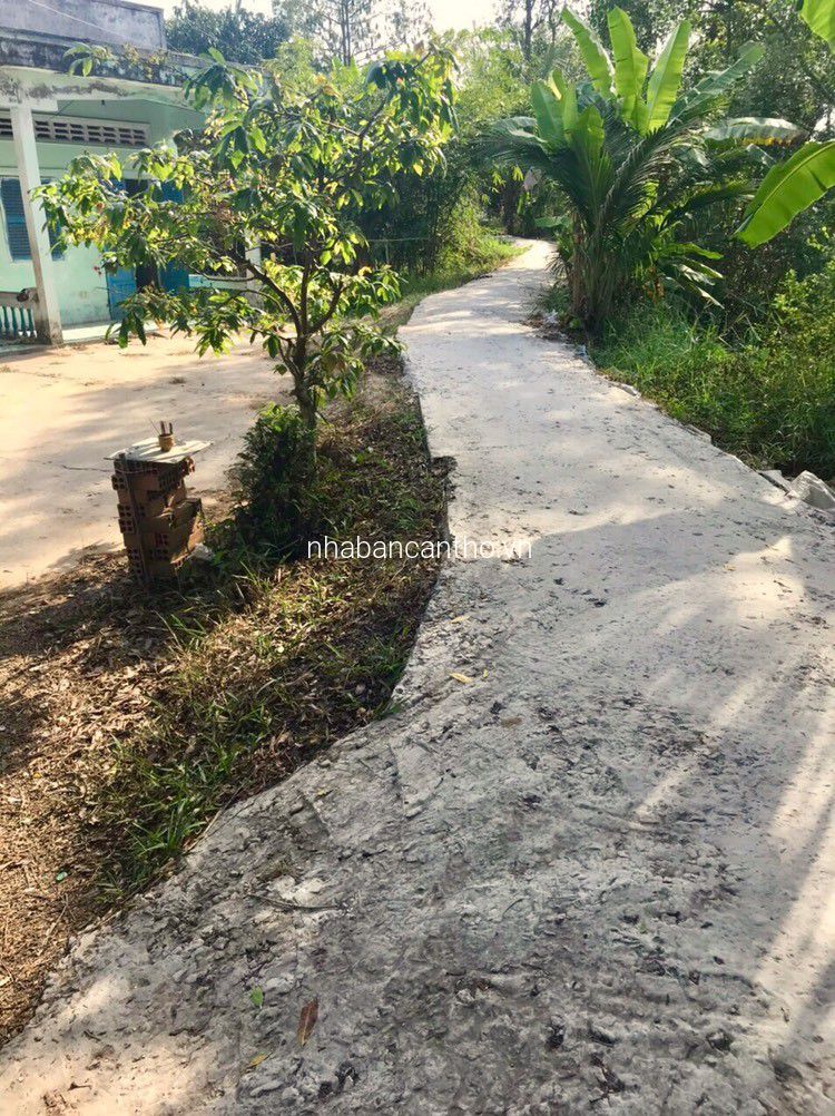 Nền thổ cư cách QL61C 100m, cách cầu Ba Láng 2.5km, Xã Nhơn Nghĩa, Phong Điền, Cần Thơ