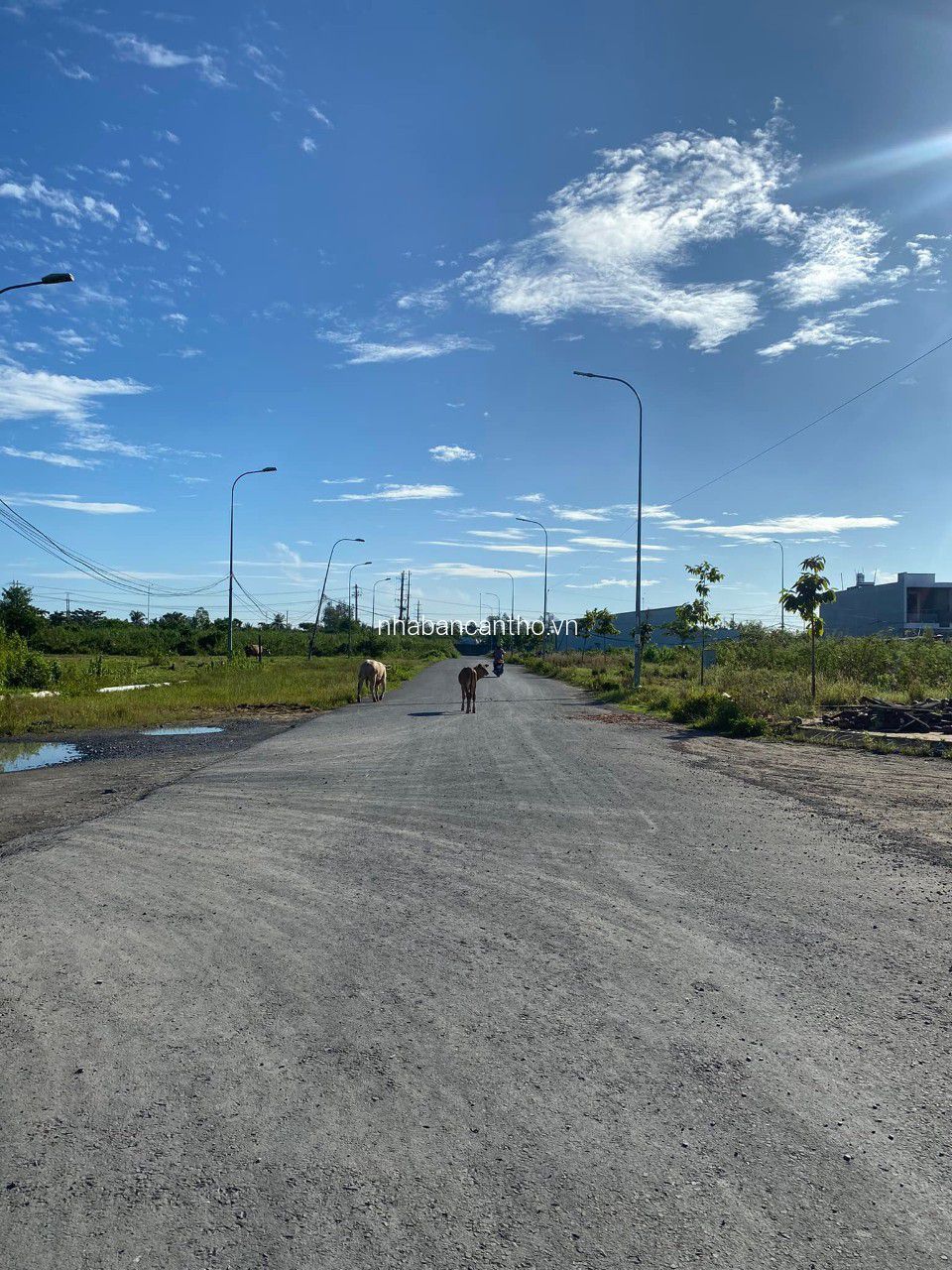 Bán nền góc đường A2 và B3 KDC Tân Phú – P. Tân Phú, Q. Cái Răng, TP Cần Thơ.