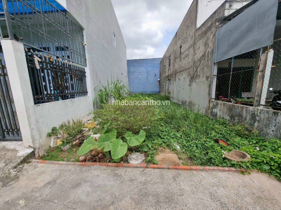BÁN NỀN HẺM nhánh đường ĐỒNG NGỌC SỨ - P. An Thới . Q. Bình Thủy TPCT