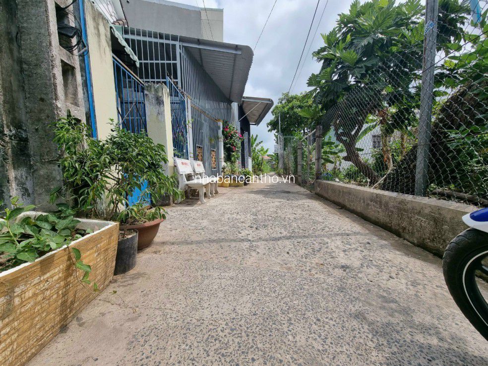 BÁN NỀN HẺM nhánh đường ĐỒNG NGỌC SỨ - P. An Thới . Q. Bình Thủy TPCT