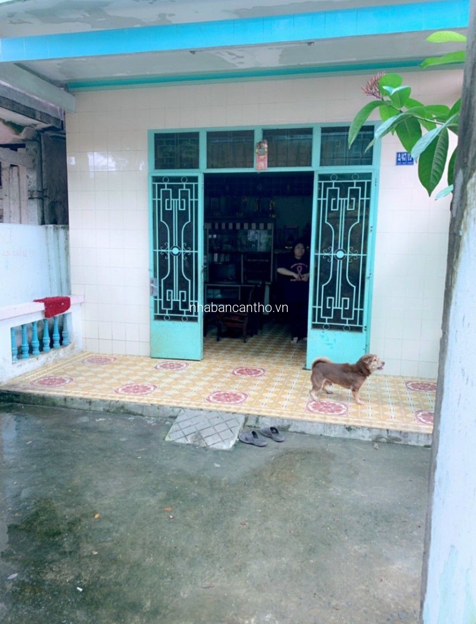 Bán dãy trọ và 2 căn nhà cấp 4 Hem 2 đường Lê Anh Xuân (hẻm 359 NVC)