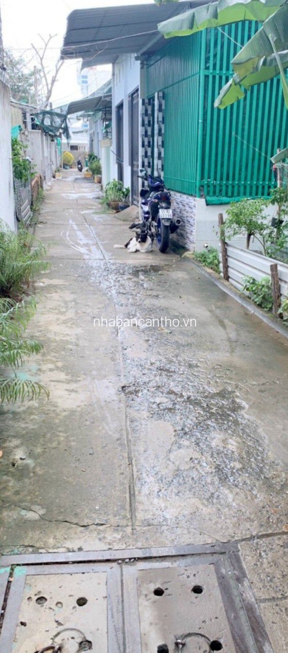 Bán dãy trọ và 2 căn nhà cấp 4 Hem 2 đường Lê Anh Xuân (hẻm 359 NVC)