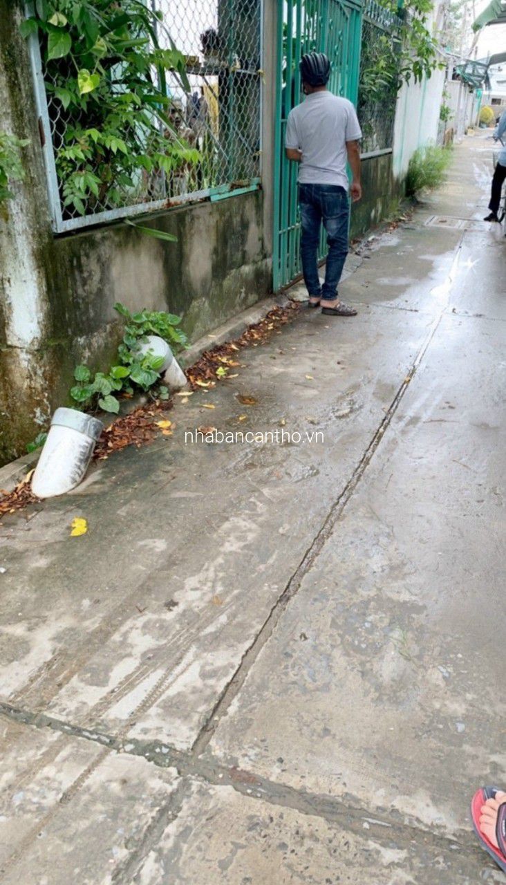 Bán dãy trọ và 2 căn nhà cấp 4 Hem 2 đường Lê Anh Xuân (hẻm 359 NVC)