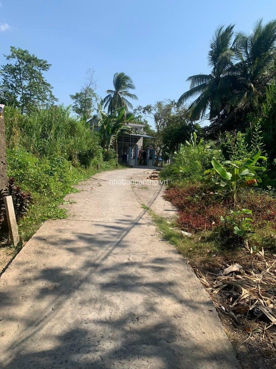 Nền Rạch Bà Vèn, đường Huỳnh Thị Nỡ - Cái Răng, Cần Thơ