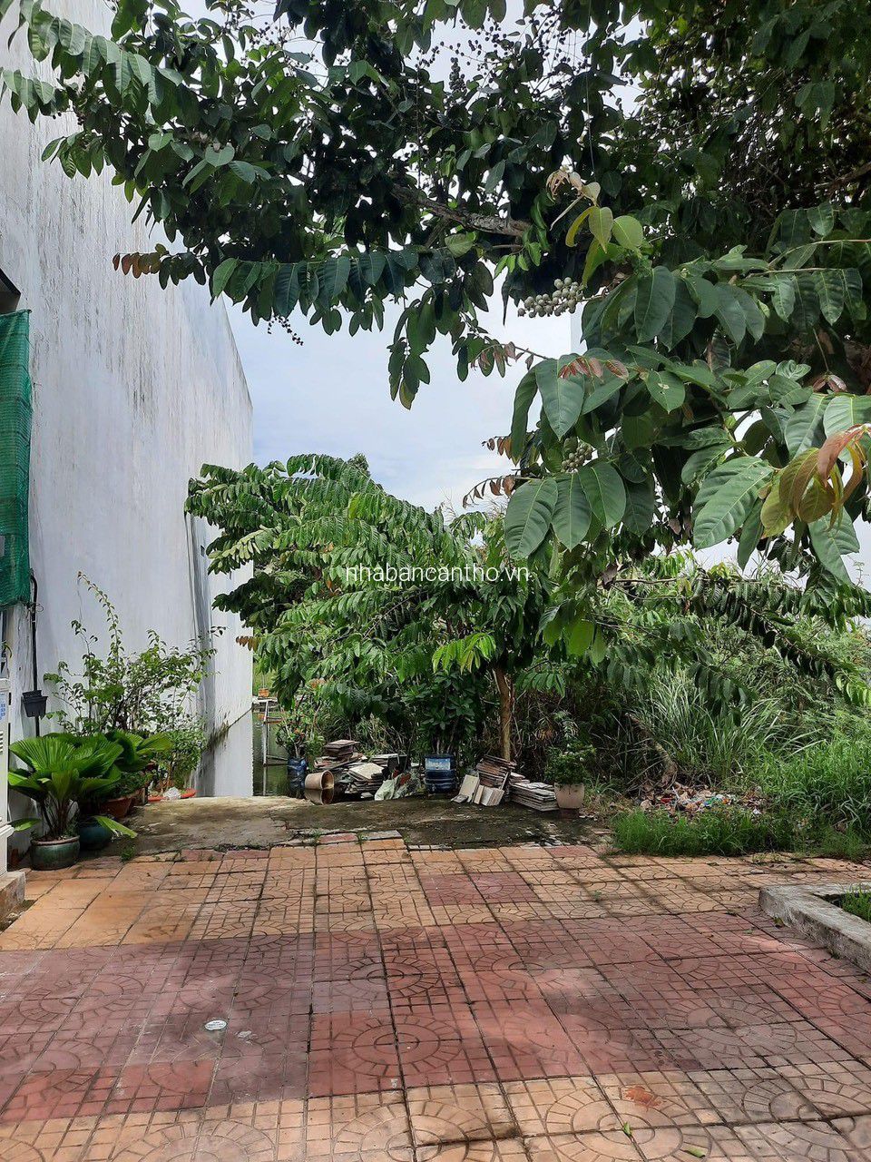 Bán nền thổ cư giá rẻ thích hợp để đâu tư sanh lời khu vực phú thứ, cái răng, cần thơ 