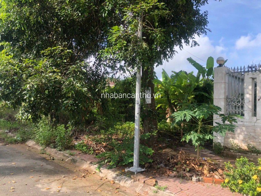 Bán nền biệt thự view mặt tiền lộ và sông rất đẹp, cách chợ phú thứ 500m