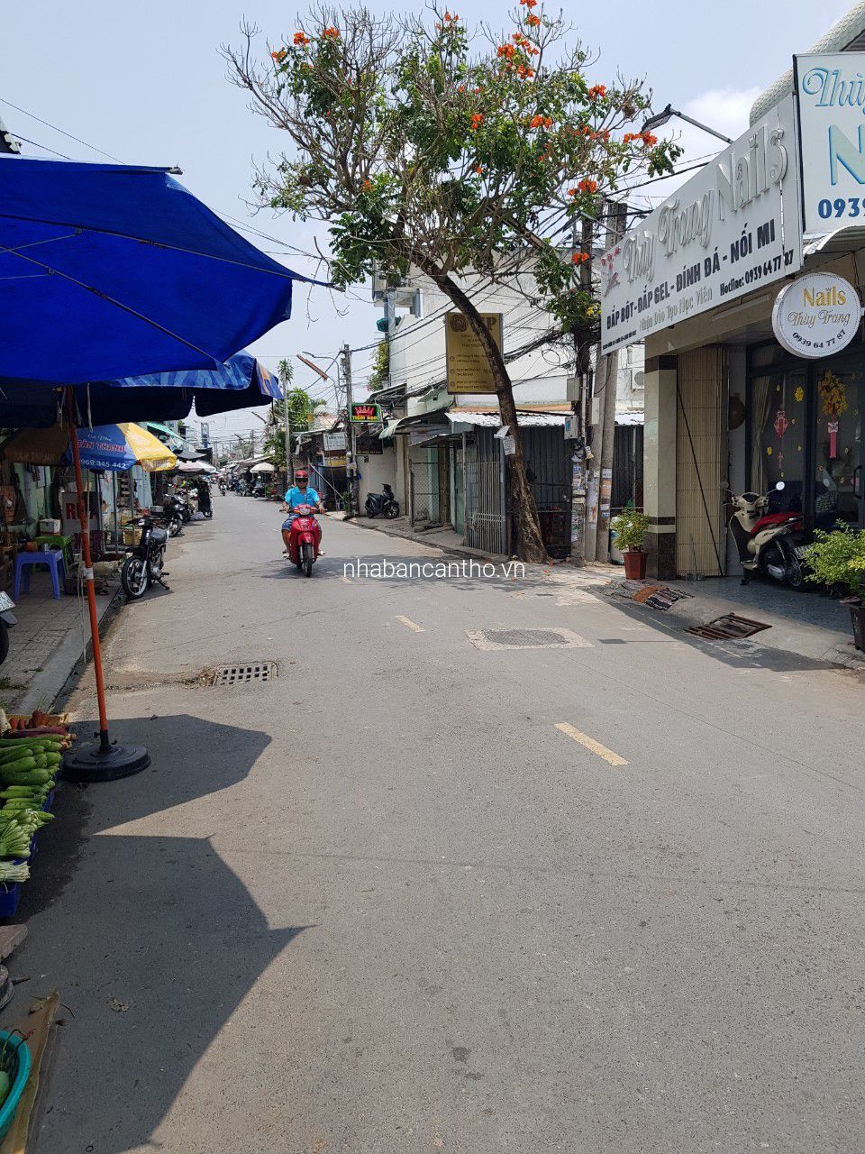 ĐẤT TRỤC CHÍNH HẺM 12 DA LIỄU RẺ HƠN NGÂN HÀNG THẨM ĐỊNH TẶNG 3 PHÒNG TRỌ VÀ NHÀ NGUYÊN CĂN
