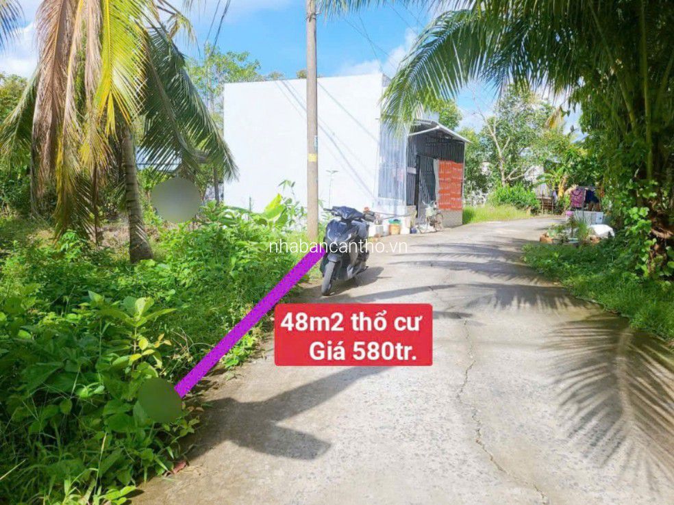 NỀN THỔ CƯ MẶT TIỀN LỘ ÔTÔ CÁCH CHỢ MIỄU ÔNG 1,2KM ,NỀN ĐẸP KG VƯỚNG GÌ