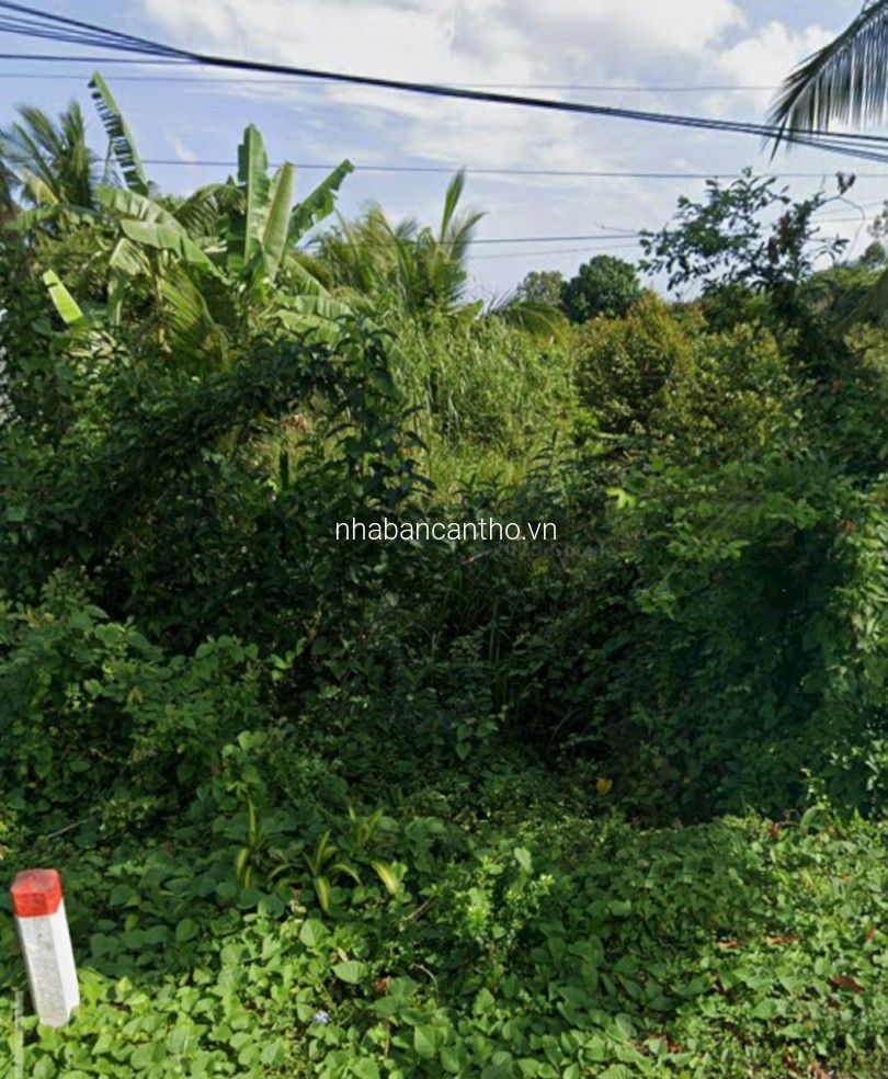 Bán 1430m2 đất CLN tại Trường Long Phong Điền