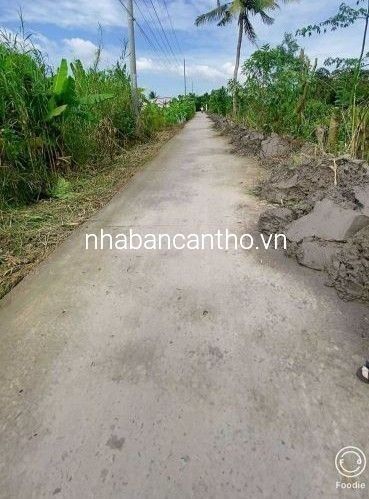 Bán đất Bông Vang - Mỹ Khánh - Phong Điền - TPCT ( gần chợ Mỹ Khánh)